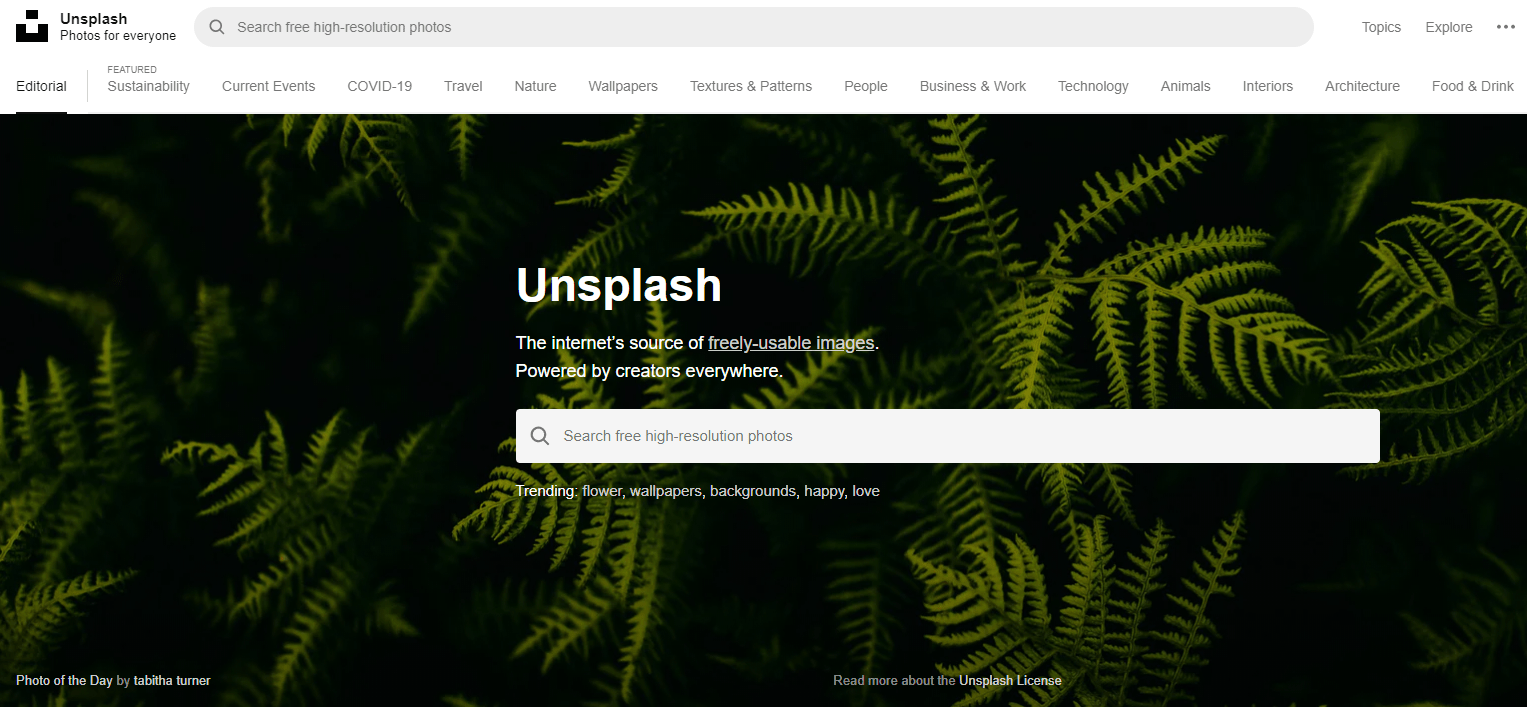Everything you need to know about Unsplash